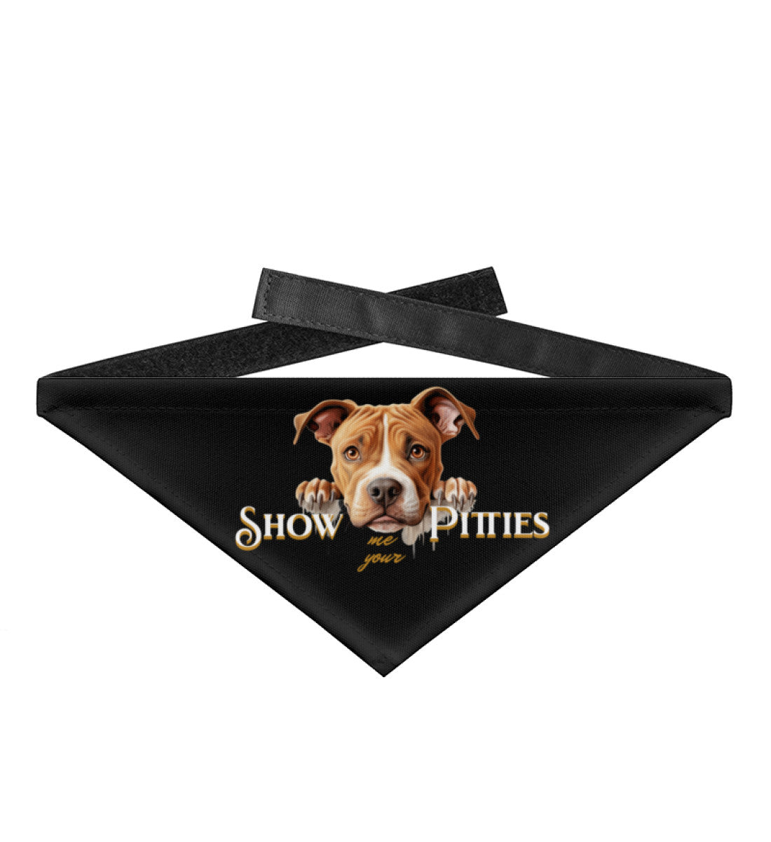 Hunde & Katzen Motive