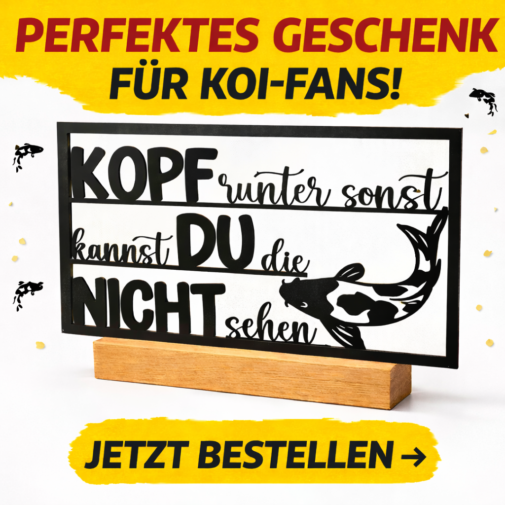 „Kopf runter, sonst kannst du die Koi nicht sehen“ – Koi Aufsteller mit Augenzwinkern